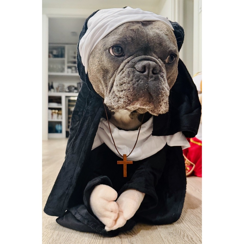 Nun Dog Costume Size Large Pet Halloween Habit Veil Cross Complete
